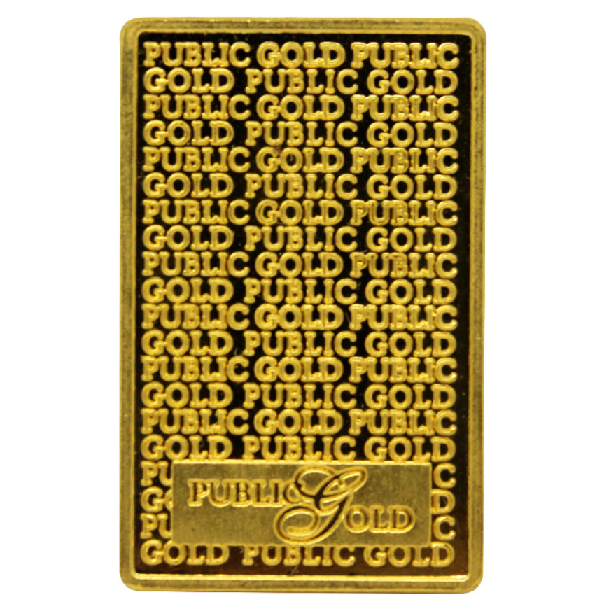 PUBLIC GOLD | 20G GOLD 999.9