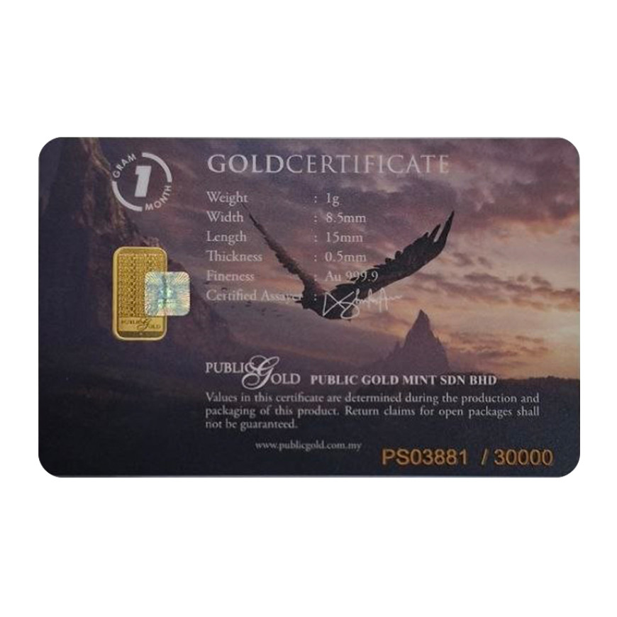 PUBLIC GOLD | FOCUS | 1G GOLD 999.9