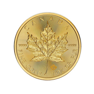 Royal canadian mint | maple leaf (2024) | 1oz gold 999.9