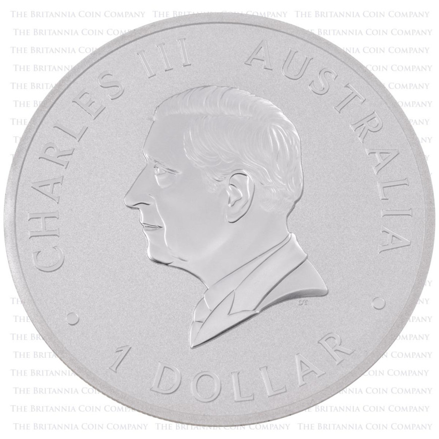 PERTH MINT | KOOKABURRA (2024) | 1OZ SILVER 999.9